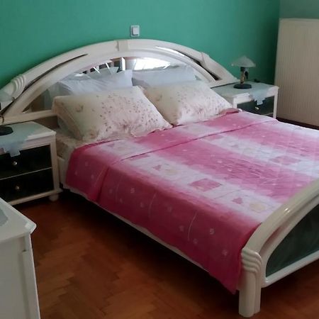 Toula Apartment Litóhoro Kültér fotó