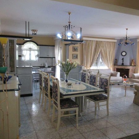 Toula Apartment Litóhoro Kültér fotó