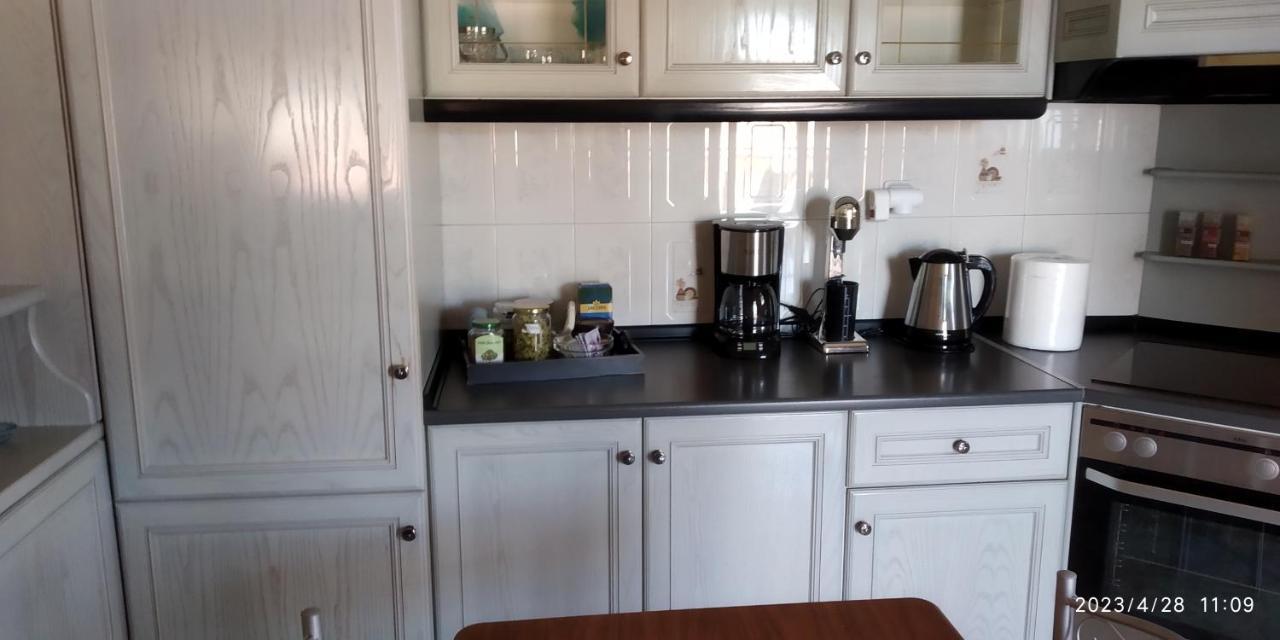 Toula Apartment Litóhoro Kültér fotó