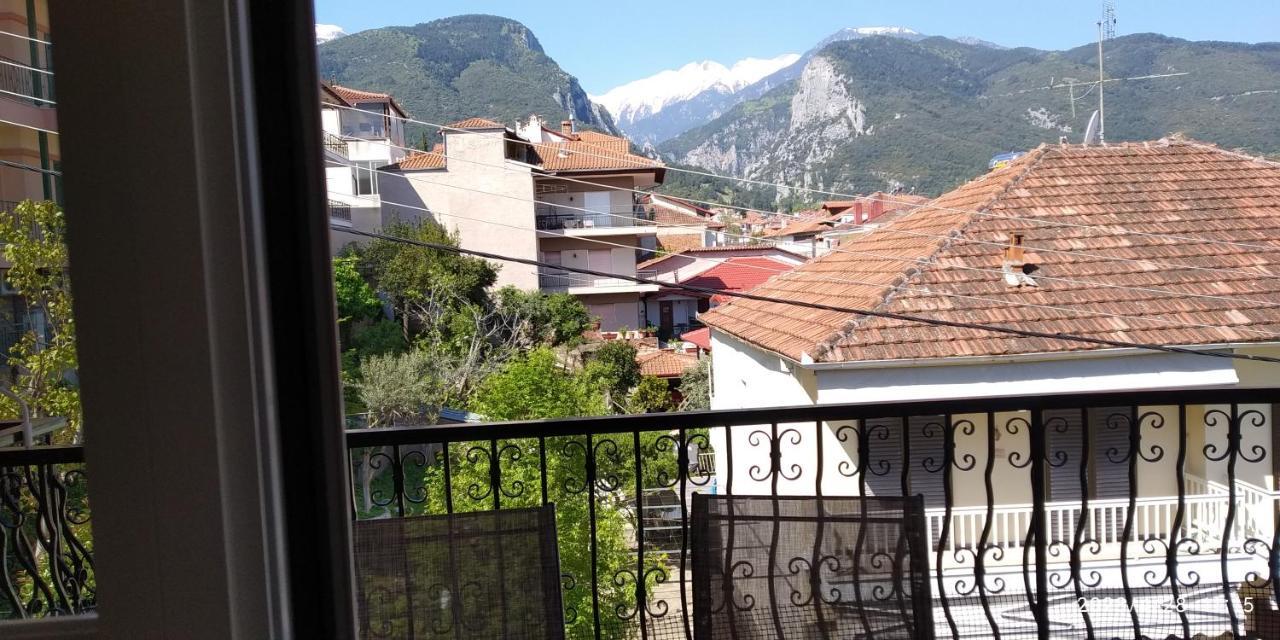 Toula Apartment Litóhoro Kültér fotó