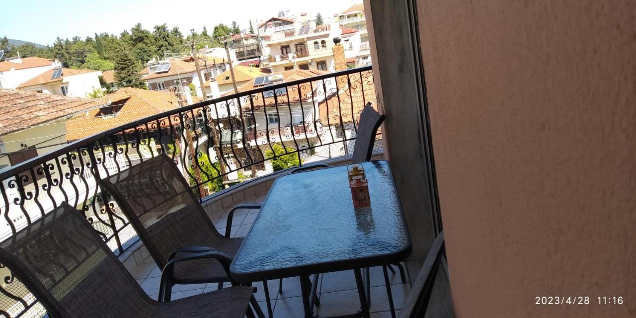 Toula Apartment Litóhoro Kültér fotó