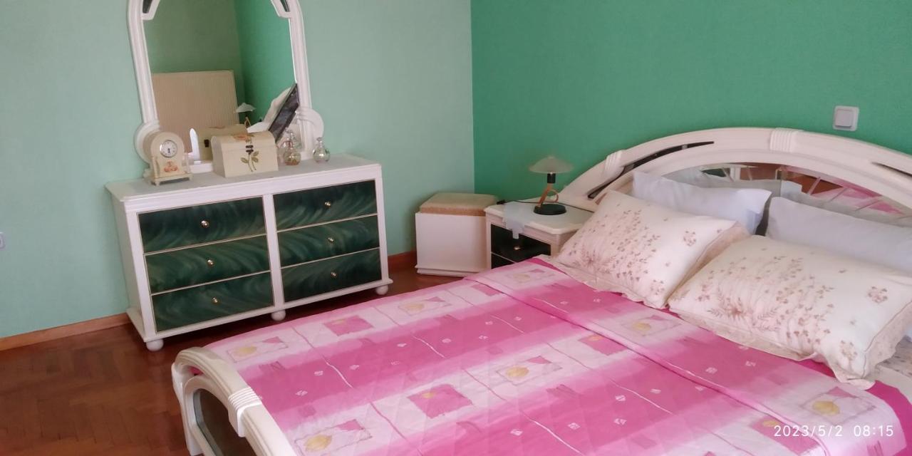 Toula Apartment Litóhoro Kültér fotó