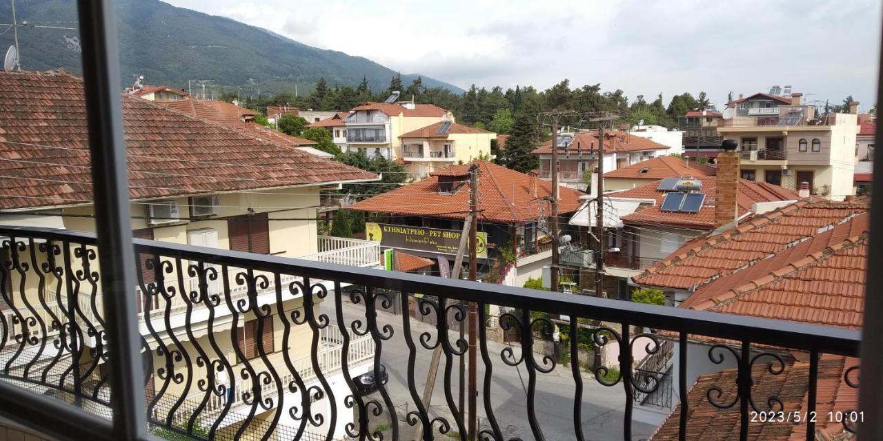 Toula Apartment Litóhoro Kültér fotó