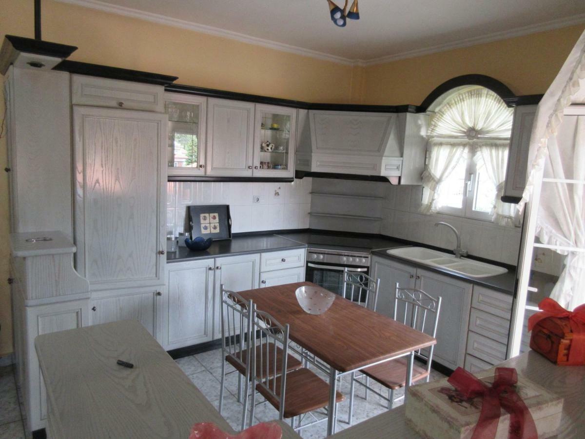 Toula Apartment Litóhoro Kültér fotó