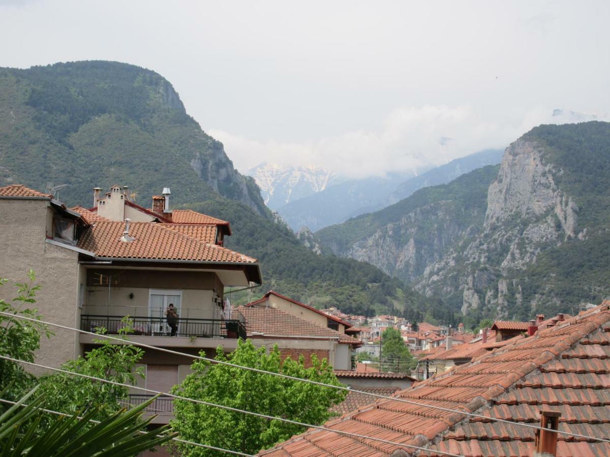 Toula Apartment Litóhoro Kültér fotó