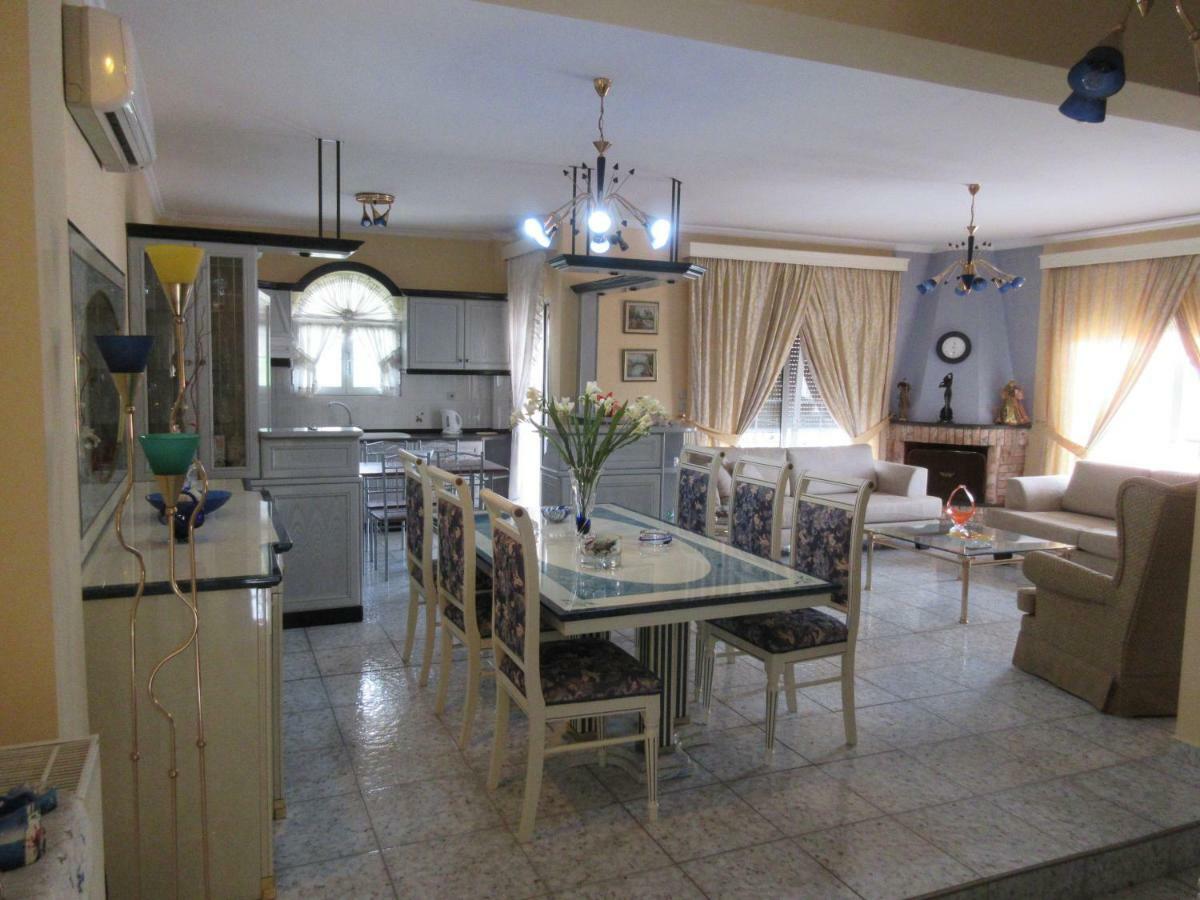 Toula Apartment Litóhoro Kültér fotó