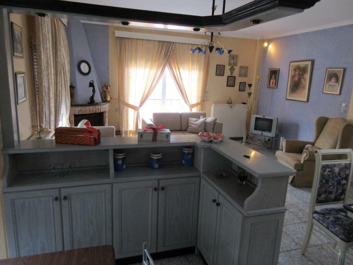 Toula Apartment Litóhoro Kültér fotó